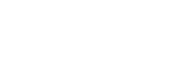 Nova School of Business and Economics Logo